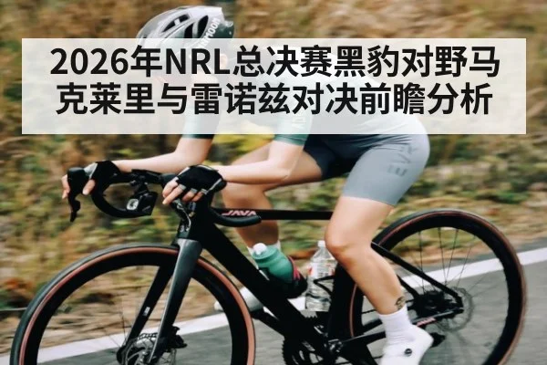 2026年NRL总决赛黑豹对野马克莱里与雷诺兹对决前瞻分析 | kaiyun